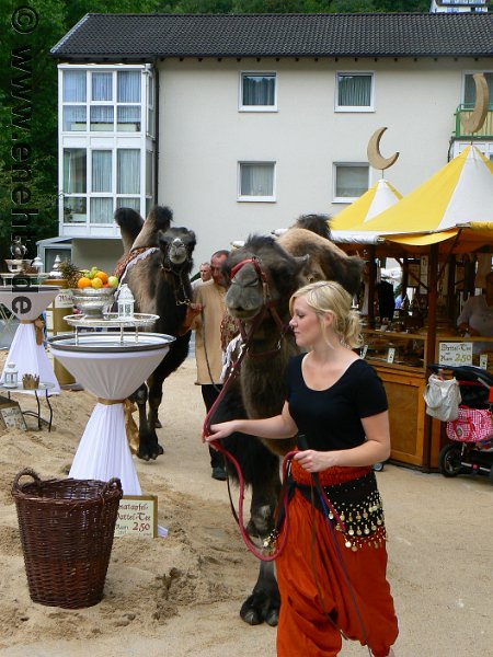 Mittelaltermark_Altena_2011 (177).jpg